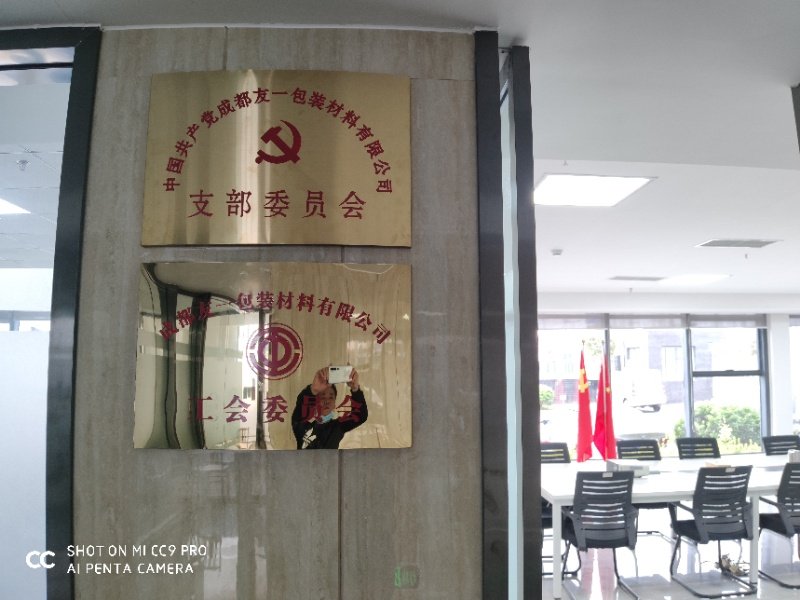 热烈祝贺南宫ng28相信品牌力量集团成都分公司党支部在2020年3月11日授牌成立，，，，，，，，支部书记曹云(行政部经理)